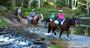 Picture of Guided Horse Riding Adventure -  Glenworth Valley