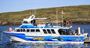 Picture of Swim with Sea Lions Tour  Adult – Port Lincoln