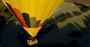 Picture of Hunter Valley Balloon Flight Experience & Champagne Breakfast