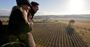Picture of Hunter Valley Balloon Flight Experience & Champagne Breakfast