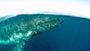 Picture of Whale Watching Cruise - Gold Coast (Child)