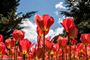 Picture of Digital Photography Workshop- Canberra (1 Day)