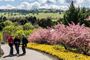 Picture of Digital Photography Workshop- Canberra (1 Day)