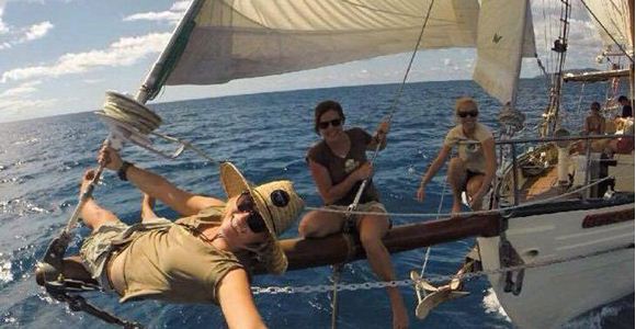 Picture of Derwent Hunter Day Trip - Whitsundays (Adult)