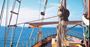 Picture of Derwent Hunter Day Trip - Whitsundays (Adult)