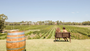 Picture of RiverBank Estate Winery and Restaurant
