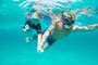 Picture of Swim With Whale Shark - Child