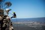 Picture of Half Day Abseiling Blue Mountains