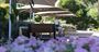 Picture of Picnic & Vineyard Tour Canberra