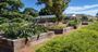 Picture of Picnic & Vineyard Tour Canberra