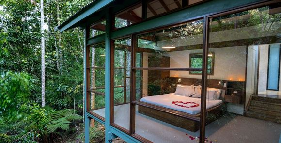 Picture of Romantic Two Night Package  - Rainforest Retreat