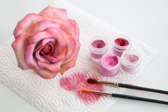 Picture of Cupcake Decorating Masterclasses Sydney