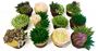 Picture of Cupcake Decorating Masterclasses Sydney