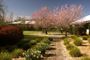 Picture of Country Estate High Tea for Two - Yarra Valley