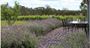 Picture of Hunter Valley Spa Package - 1 hour