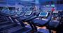 Picture of The 2.5hrs Rejuvenate Day Spa Package - Hilton Sydney