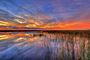 Picture of Glamping 3 nights for 2 - South Coast NSW