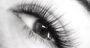 Picture of Classic Full Set Eyelash Extension- Adelaide (1 hour)