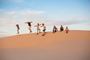 Picture of Sandboarding - Port Stephens