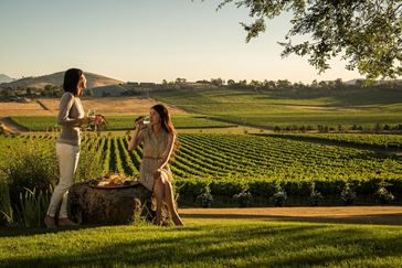 Picture for category Winery Dining Packages