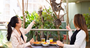 Picture of Breakfast with the Koala's (Adult) - Sydney