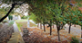 Picture of Relaxing Weekend Couple’s Escape – Yarra Valley (2 Nights)