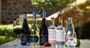 Picture of Centenary Tour for Two - Barossa Valley