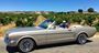 Picture of Barossa Valley  Mustang Tour for 2 People
