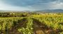 Picture of Midweek Couples Getaway – Yarra Valley (2 Nights)
