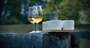 Picture of Gourmet Progressive Lunch & Tour -  Hunter Valley