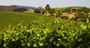 Picture of De Bortoli Winery and Restaurant