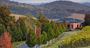 Picture of De Bortoli Winery and Restaurant