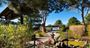 Picture of Japanese Country Spa Retreat  - 2 Night Getaway