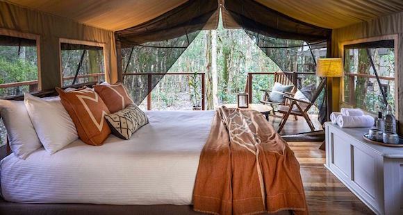 Picture of South Coast Escape - Paperbark Camp