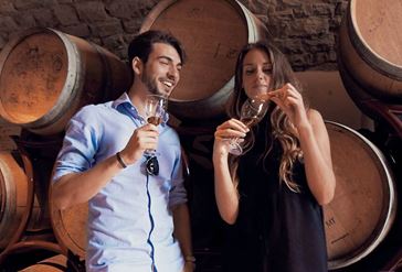 Picture for category Wine Tasting and Tours