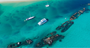 Picture of Dolphin and Tangalooma Wrecks Cruise - Adult