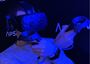 Picture of Apsis VR Melbourne | Virtual Reality Escape Room Experiences (Friday-Sunday)