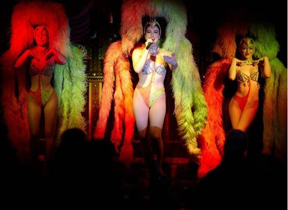Picture of La Belle Rose Cabaret Dinner Show - Sydney
