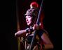 Picture of La Belle Rose Cabaret Dinner Show - Sydney