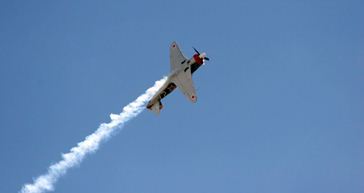 Picture for category Aerobatic Flights