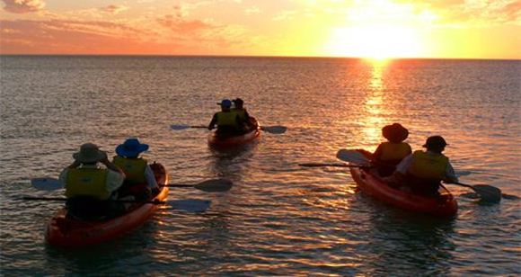 Picture of Turtle Kayak for 1 Adult - Broome