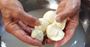 Picture of Intensive Cheesemaking Class 2 – Several Locations
