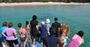 Picture of Moreton Island Day Cruise - Adult