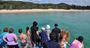 Picture of Moreton Island Day Cruise - Child