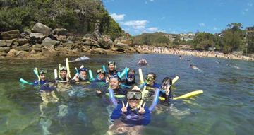 Picture of Manly Snorkelling Tour (Adult)