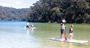 Picture of Sydney Stand Up Paddle Boarding Safari - Family Pass