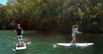 Picture of Sydney Stand Up Paddle Boarding Safari For Two