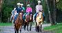 Picture of Horse Riding and Abseiling Adventure - Glenworth Valley