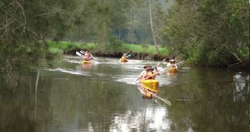Picture of Kayak Tour and Seafood Picnics - Glenworth Valley