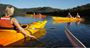 Picture of Kayak Tour and Seafood Picnics - Glenworth Valley